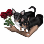 Chihuahua Roses Photo Sculpture Chihuahua Roses Photo Sculpture
