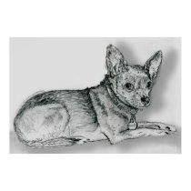 Chihuahua Sketch 1 posters