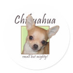 Chihuahua, Small but Mighty Round Sticker