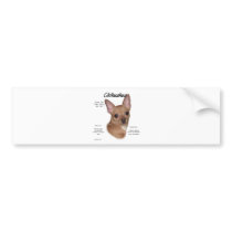 Chihuahua (smooth) History Design Bumper Sticker
