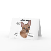 Chihuahua (smooth) History Design Cards