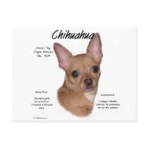 Chihuahua (smooth) History Design Post Cards