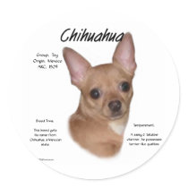 Chihuahua (smooth) History Design Sticker