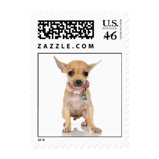 Chihuahua Stamp (MEDIUM) stamp