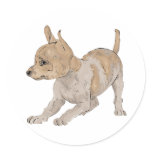 Chihuahua Round Sticker