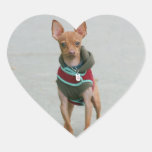 Chihuahua Stickers