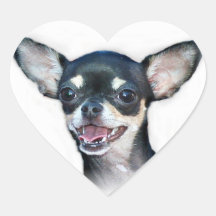 Chihuahua Stickers