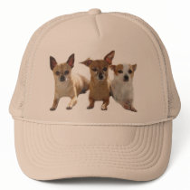 Chihuahua Trio Hat by normagolden Chihuahua Trio Hat