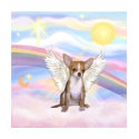 Chihuahua t-shirts