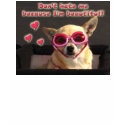 Chihuahua t-shirts