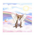 Chihuahua t-shirts