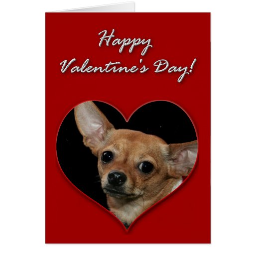 Chihuahua Valentines Day Card | Zazzle