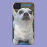 Chihuahua Whazzup? iPhone 4 case casemate cases
