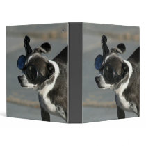Chihuahua with goggles binder