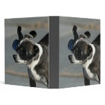 Chihuahua with goggles binder