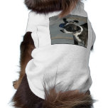 Chihuahua with goggles doggie tee shirt