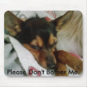 Chihuahua/Yorkie: Please Don't Bother Me. mousepads