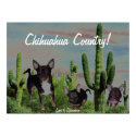 ChihuahuaCountryDiscoLightsEffects1, Love Is Ch... posters