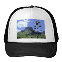 Chihuahuan Desert scene 02 Trucker Hat