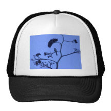 Chihuahuan Desert scene 04 Hat