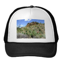 Chihuahuan Desert scene 05 Mesh Hat