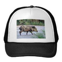 Chihuahuan Desert scene 10 javelina Mesh Hat