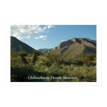 Chihuahuan Desert Summer posters by JaguarPhotos Chihuahuan Desert Summer posters