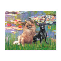 Chihuahuas 6 & 7 - Lilies 2 postcards by masterpiecedogs Chihuahuas 6 & 7 - Lilies 2 postcards