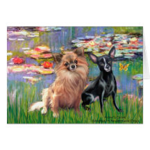 Chihuahuas 6 y 7 - lirios 2 felicitación