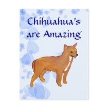 Chihuahua's are Amazing Postcard