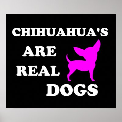 Chihuahua&#39;s are real dogs posters