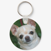 chihuahuas keychains by cindylu5 chihuahuas keychains