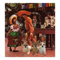 Chihuahuas Poster 3 Amigos posters