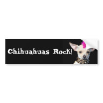 Chihuahuas Rock bumper sticker