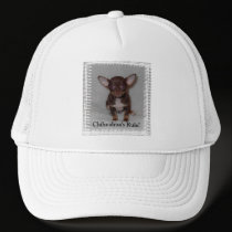 Chihuahua's Rule 1 hats by LoveIsChihuahua Chihuahua's Rule 1 hats