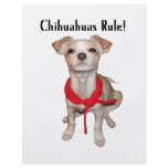 Chihuahuas Rule Flyer