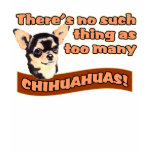 dog lover, pet, chihuahuas, dog, chi chis, dog
