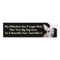 Chihuhahua Looking At You bumper stickers