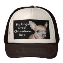 Chihuhahua Looking At You Hats