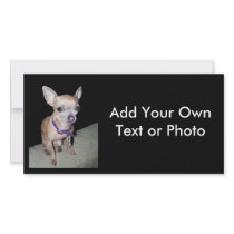 Chihuhahua Looking At You photo cards