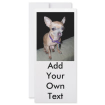 Chihuhahua Looking At You Personalized Rack Card