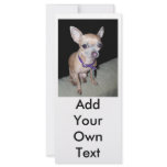Chihuhahua Looking At You Personalized Rack Card