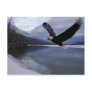 Chiklat Eagle Preserve Postcard