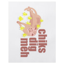 chiks dig meh flyer