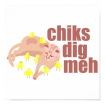 chiks dig meh poster posters