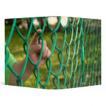 Child finger on fence binders