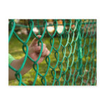 Child finger on fence postcards