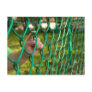 Child finger on fence postcards