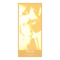 "Child" Poster - Orange Vertical