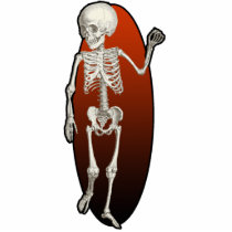 Child Skeleton Cutout Magnet Acrylic Cut Outs
